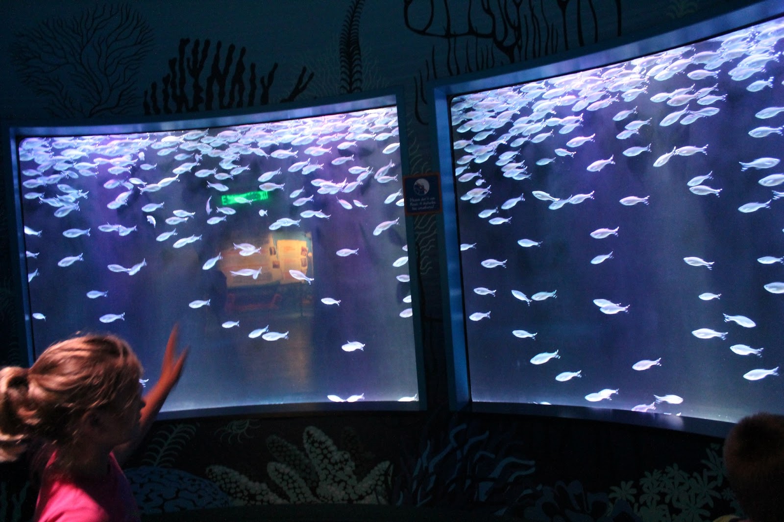 The Missouri Mom Sea Life Aquarium Kansas City, MO