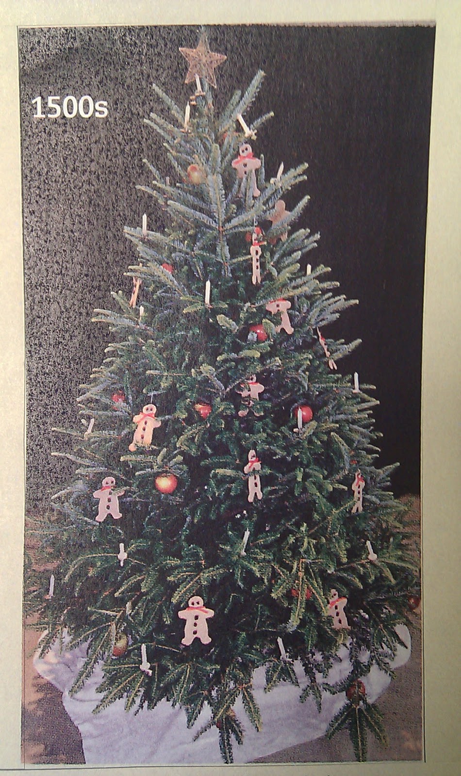 The First Trees North Carolina Christmas Trees