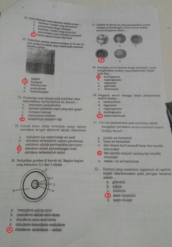 BIOLOGI GONZAGA: UJIAN MID SEMESTER KELAS XII IPA BIOLOGI