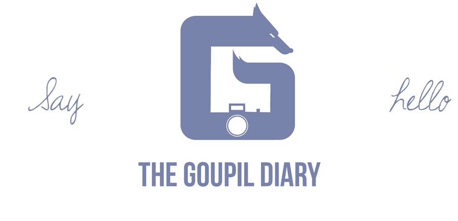 The Goupil Diary 
