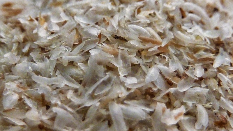 RedFlameOut’s Musings: Does Fiber In The Diet Affect Blood Glucose Levels?