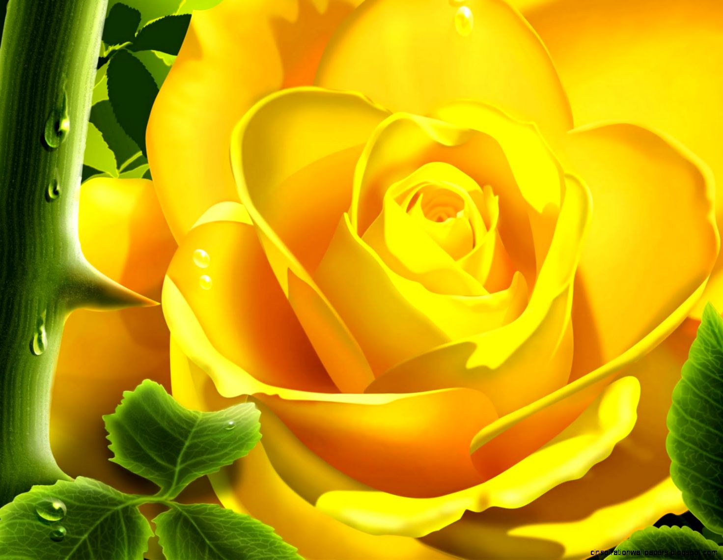 Yellow Rose Texas Yellow Rose Texas
