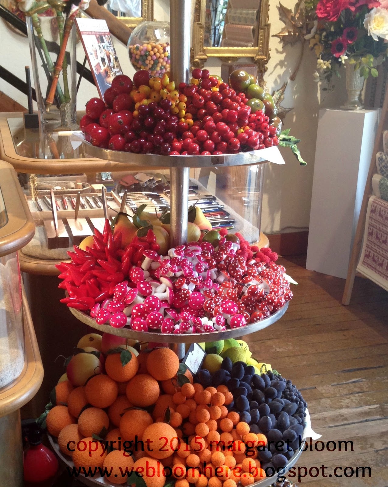 we bloom here gathering toadstools