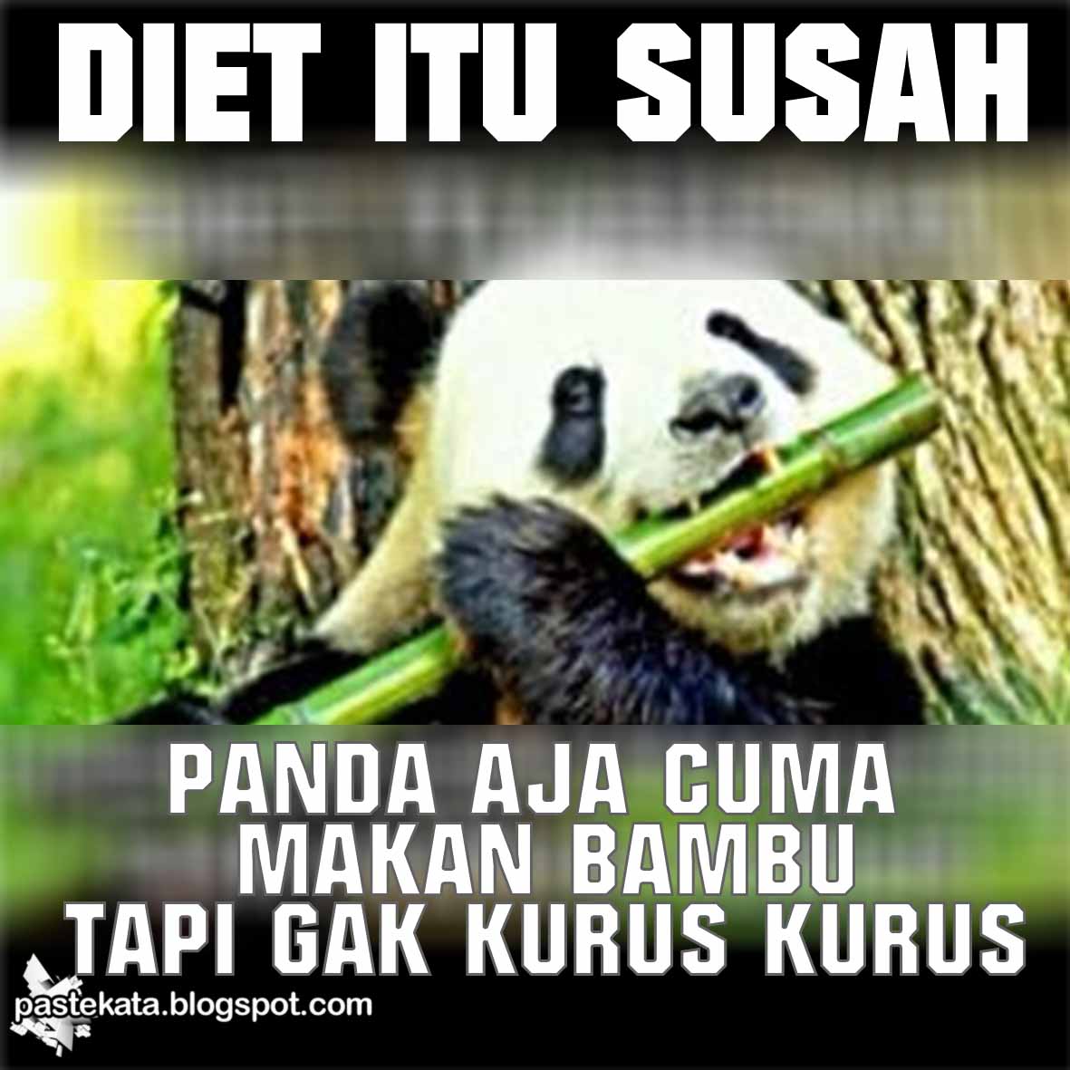 Kata Kata Lucu Gokil Sedih 2016