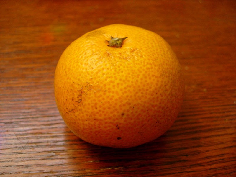 Mike Rayner sermons Meditation on eating a satsuma