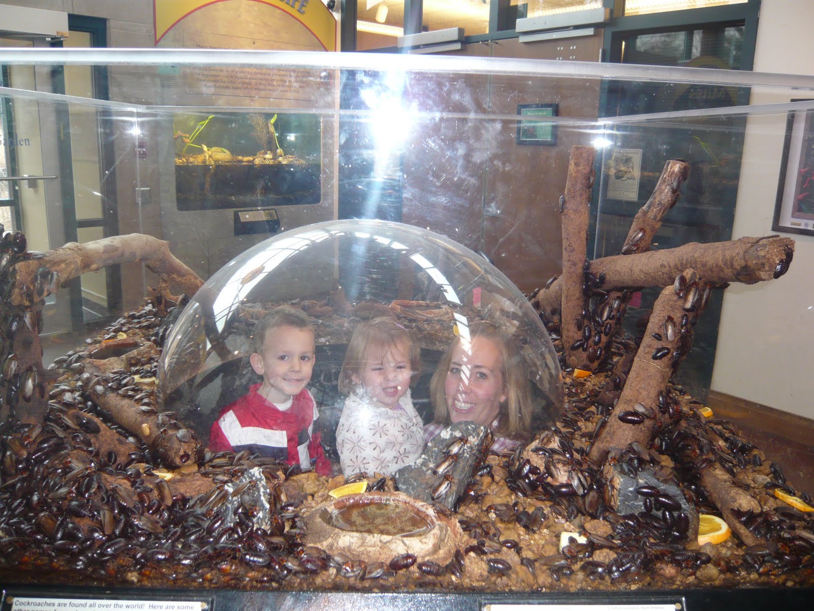 Eric and Heather Butterfly HouseMore fun in St. Louis!!