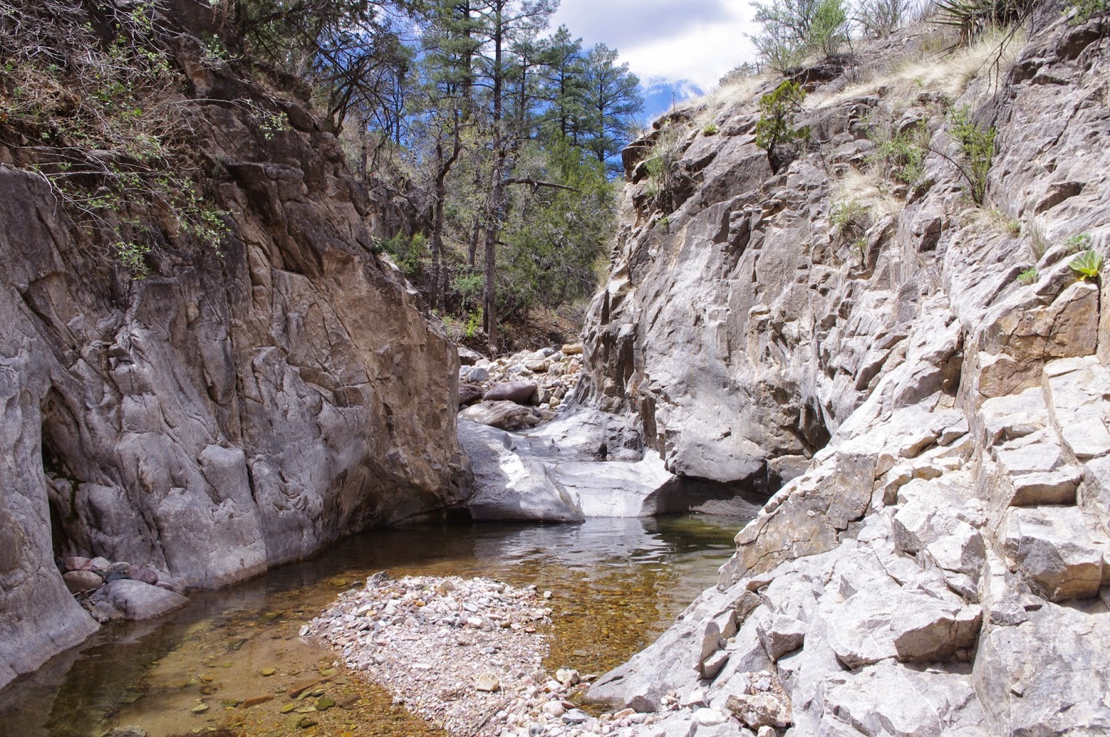 Southern New Mexico Explorer Mineral Creek, North Percha Creek Hike