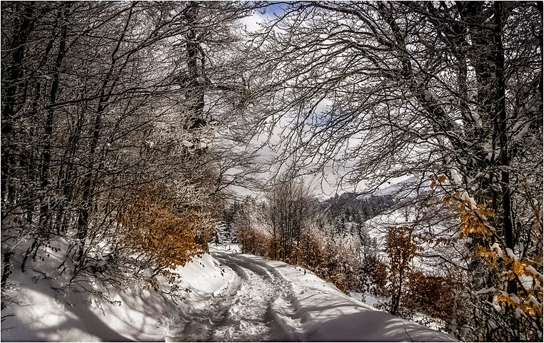 emerging photographers, Best Photo of the Day in Emphoka by Елена Пејчинова, https://flic.kr/p/qRfqk8 emerging photographers, Best Photo of the Day in Emphoka by Елена Пејчинова, https://flic.kr/p/qRfqk8