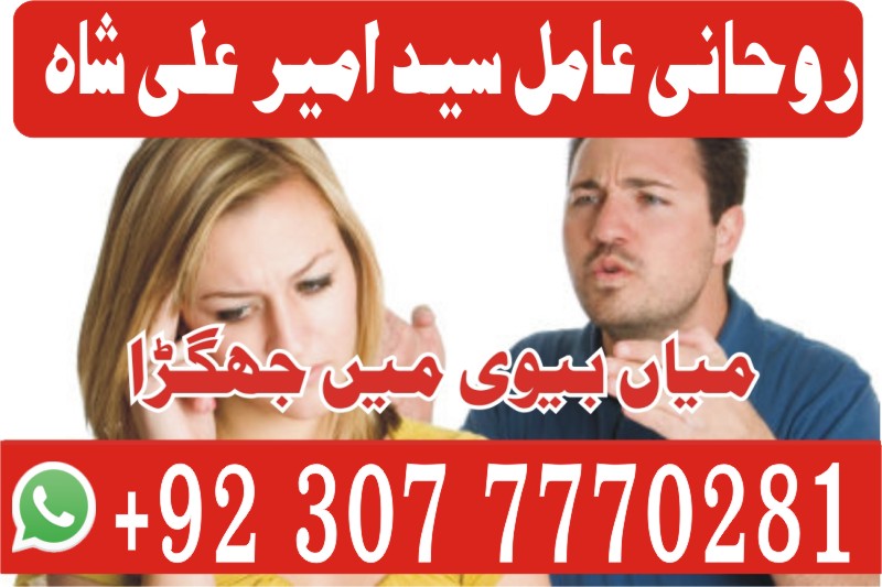 Husband and wife relationship problem solution, love marriage, divorce problem etc
