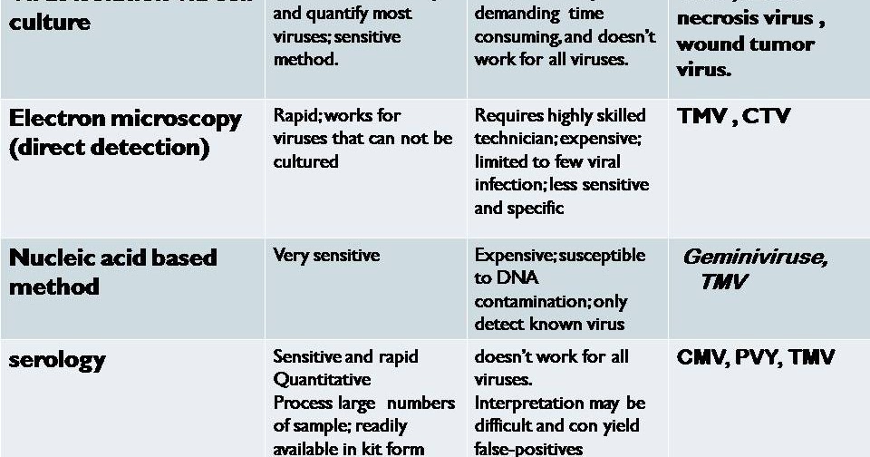 Microamaze Diagnosis of viral infection in plant
