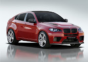 Here you can see more pictures of BMW X6: (bmw )
