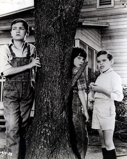 To Kill A Mockingbird Scout And Dill Quotes
