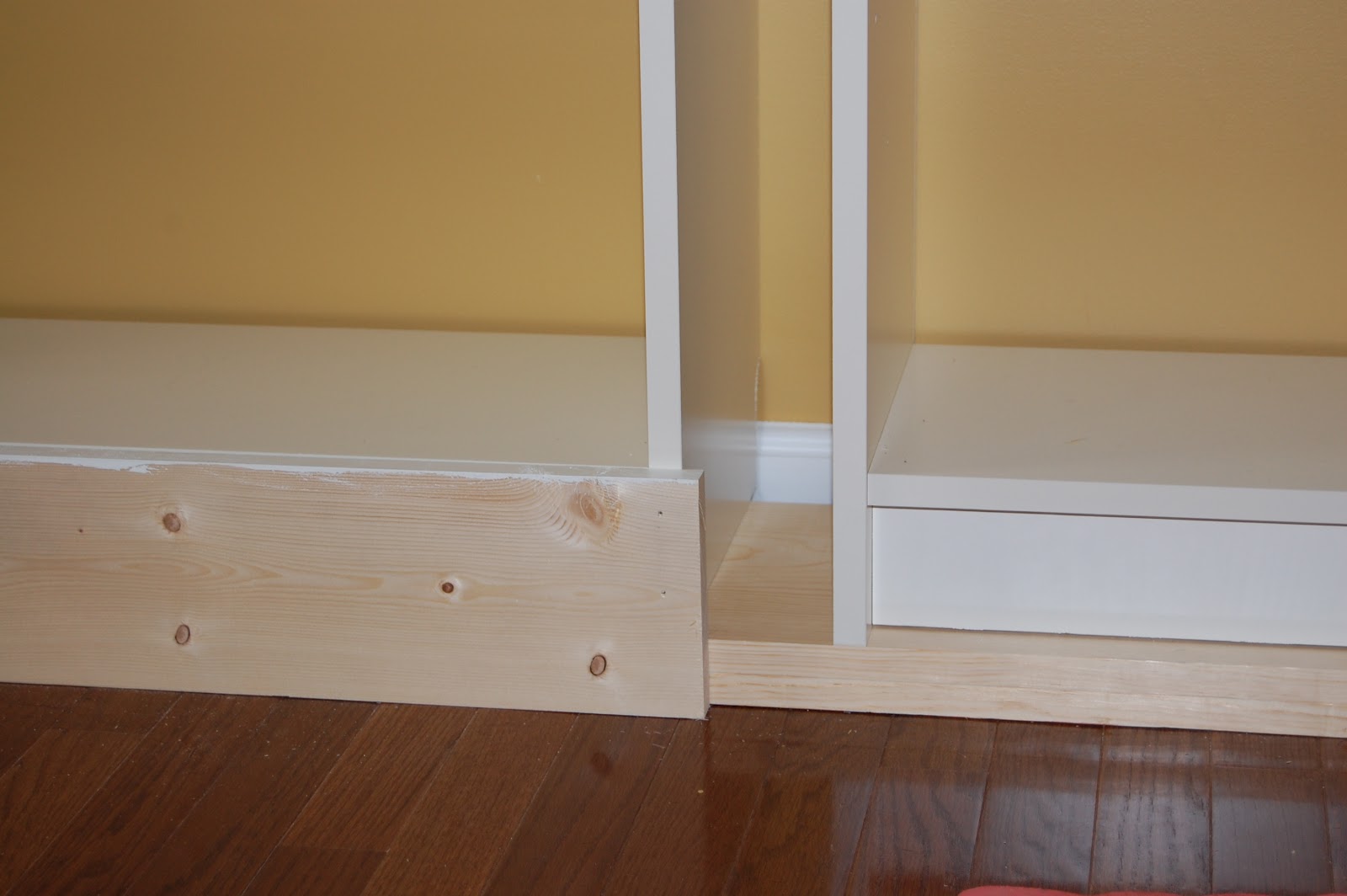 Queen of the Crazies The Library