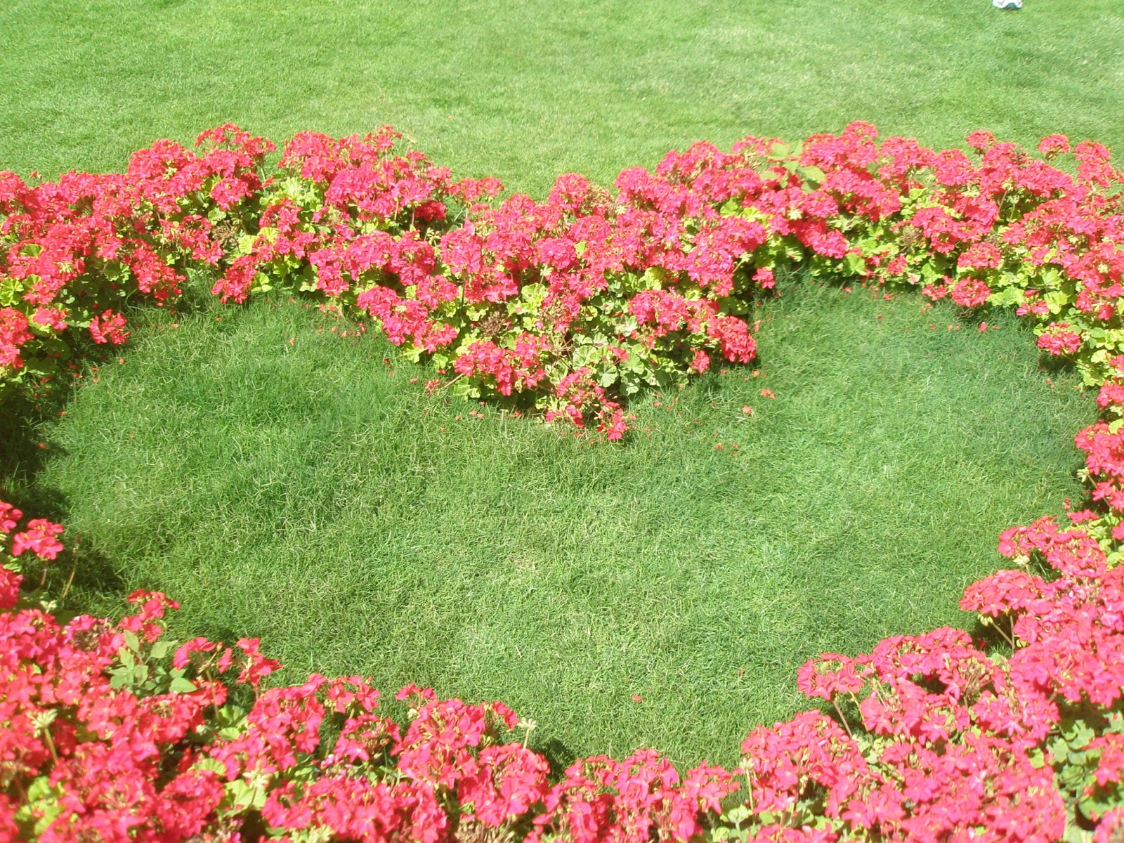 Flower Garden Miracle Garden Location Map