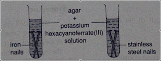 iron steel assignment chemistry corrosion nails apparatus rates stainless study
