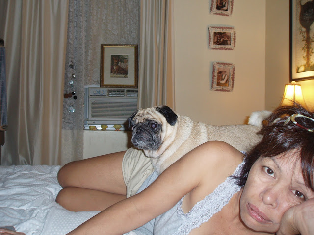 Hugs For Pugs