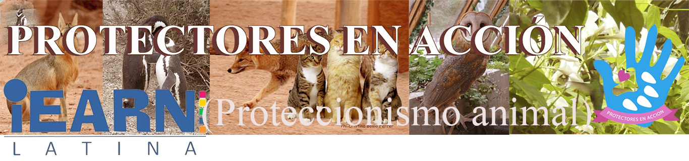 PROTECTORES EN ACCIÓN (proteccionismo animal)