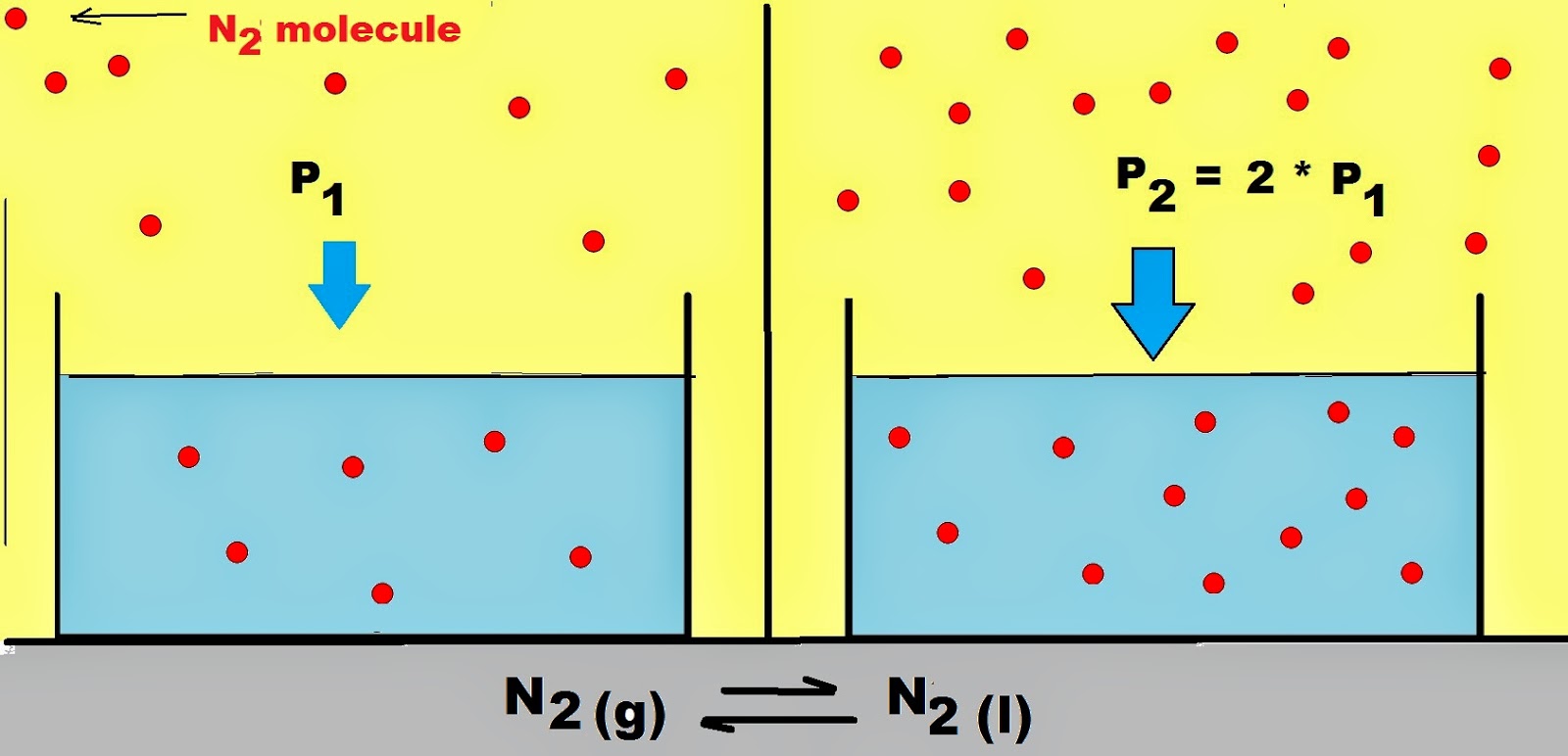 Fig. I.1: N2 equilibrium in the gaseous and liquid (dissolved) phase. The dissolving process for gases is an equilibrium. The solubility of a gas depends directly on the gas partial pressure. When the N2 partial pressure is doubled (P2 = 2 * P1) the concentration of  dissolved N2 ([N2]liquid) is also doubled.