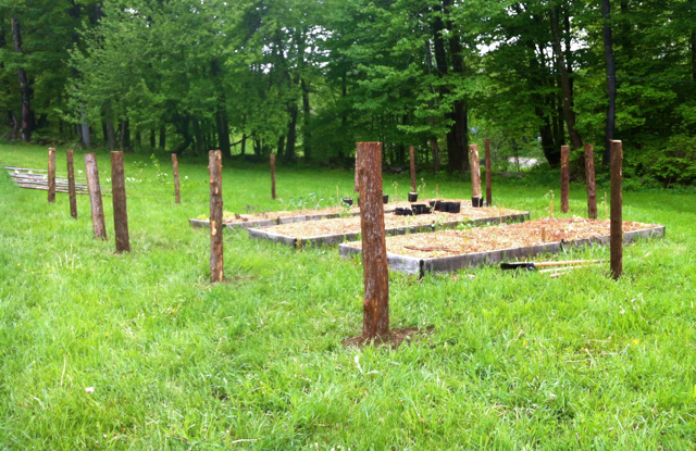 The Little Dog Blog: Building a Garden Fence, Part 1