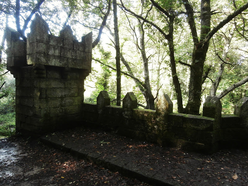 1000 Lugares en Galicia El Bosque Encantado de Aldán, en Cangas de