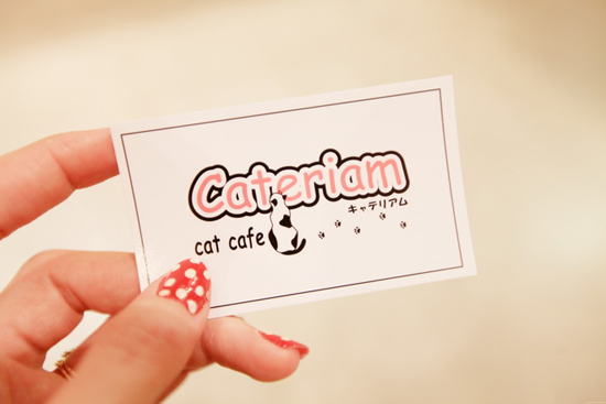   Japanese Cat Cafés - have some coffee and hang out with cats!