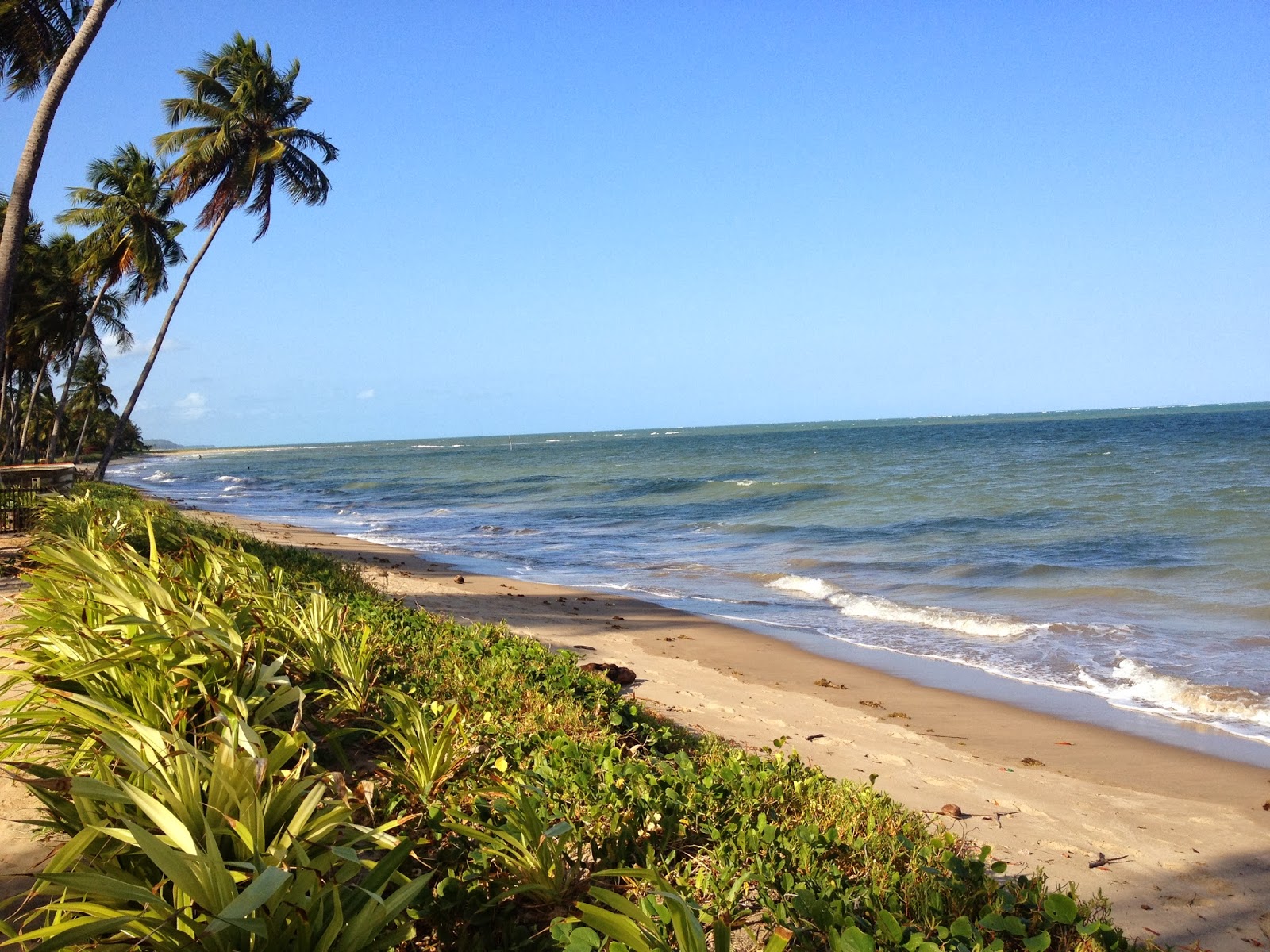 Cada Lugar Uma Dica Porto de PedrasAL