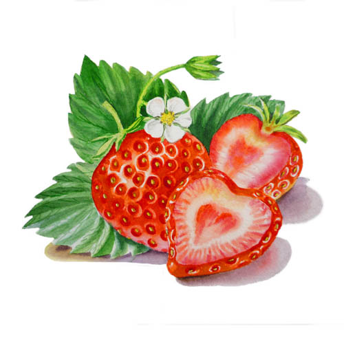 Strawberry Jam Label