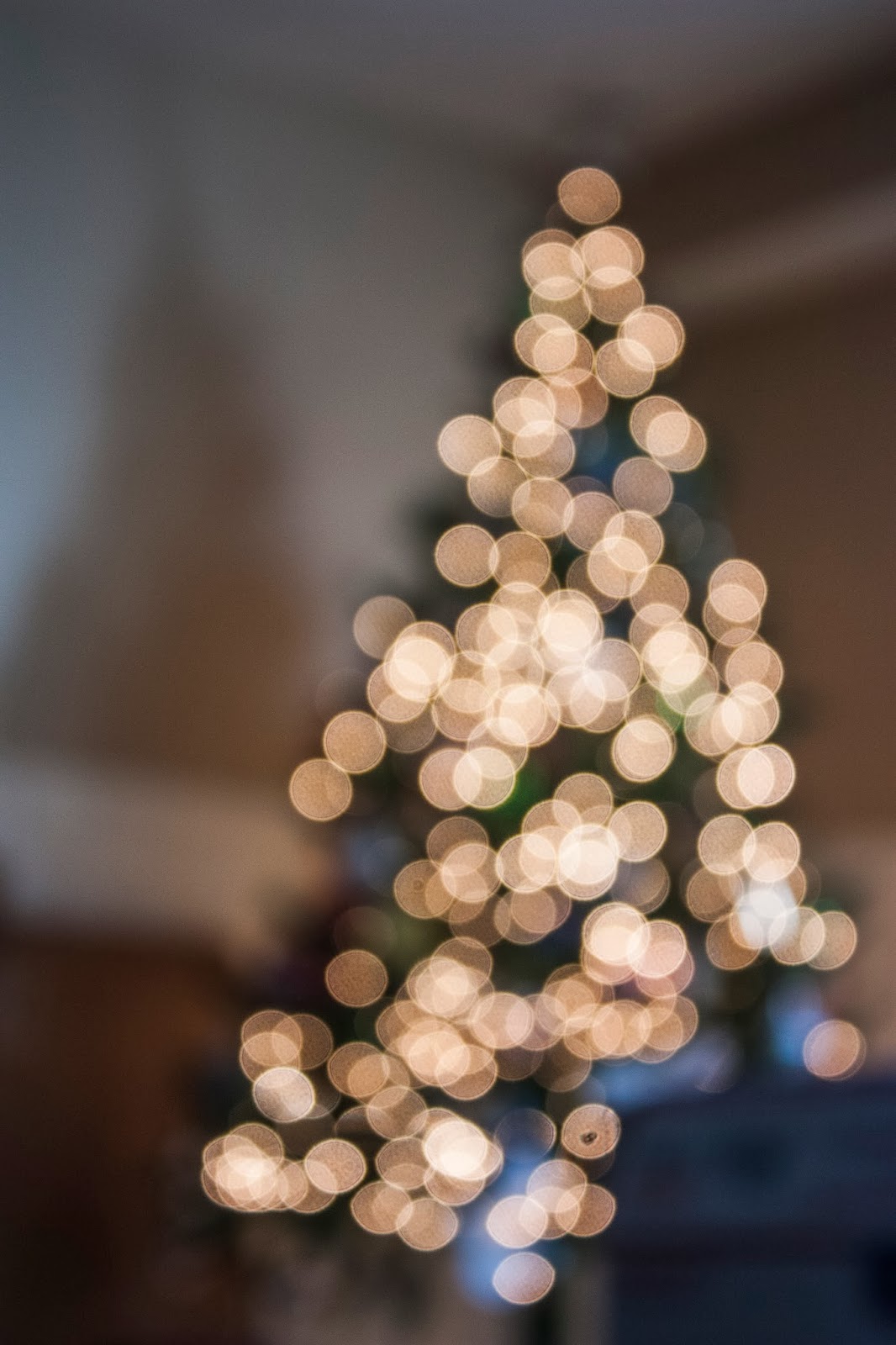 Feel my Sunlight Christmas in a photograph