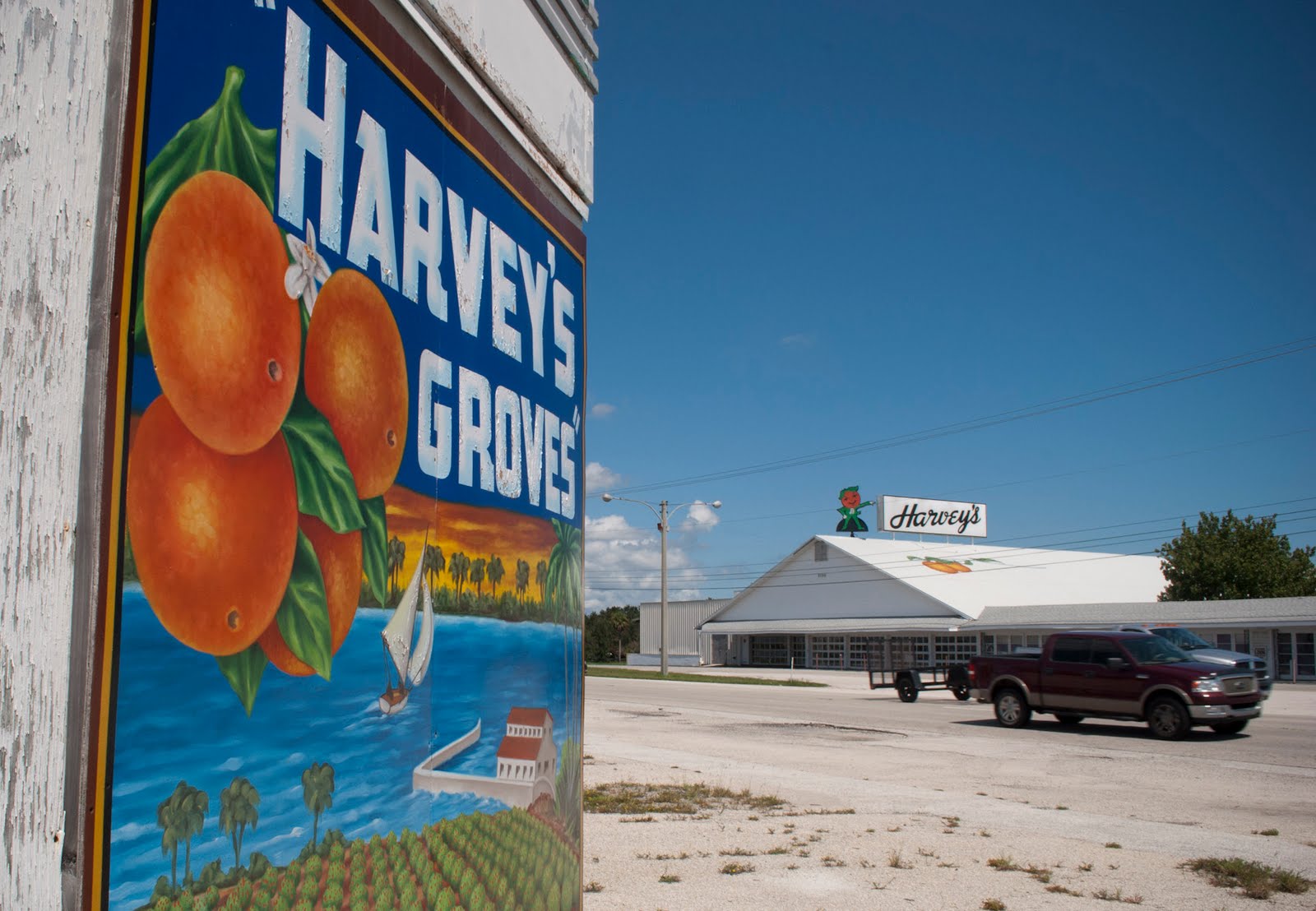Old Florida Indian River Roadside Citrus