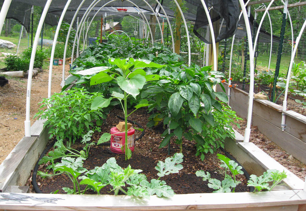 Ev Grieve Get Your Home With An Open Air Living Room On East 14th