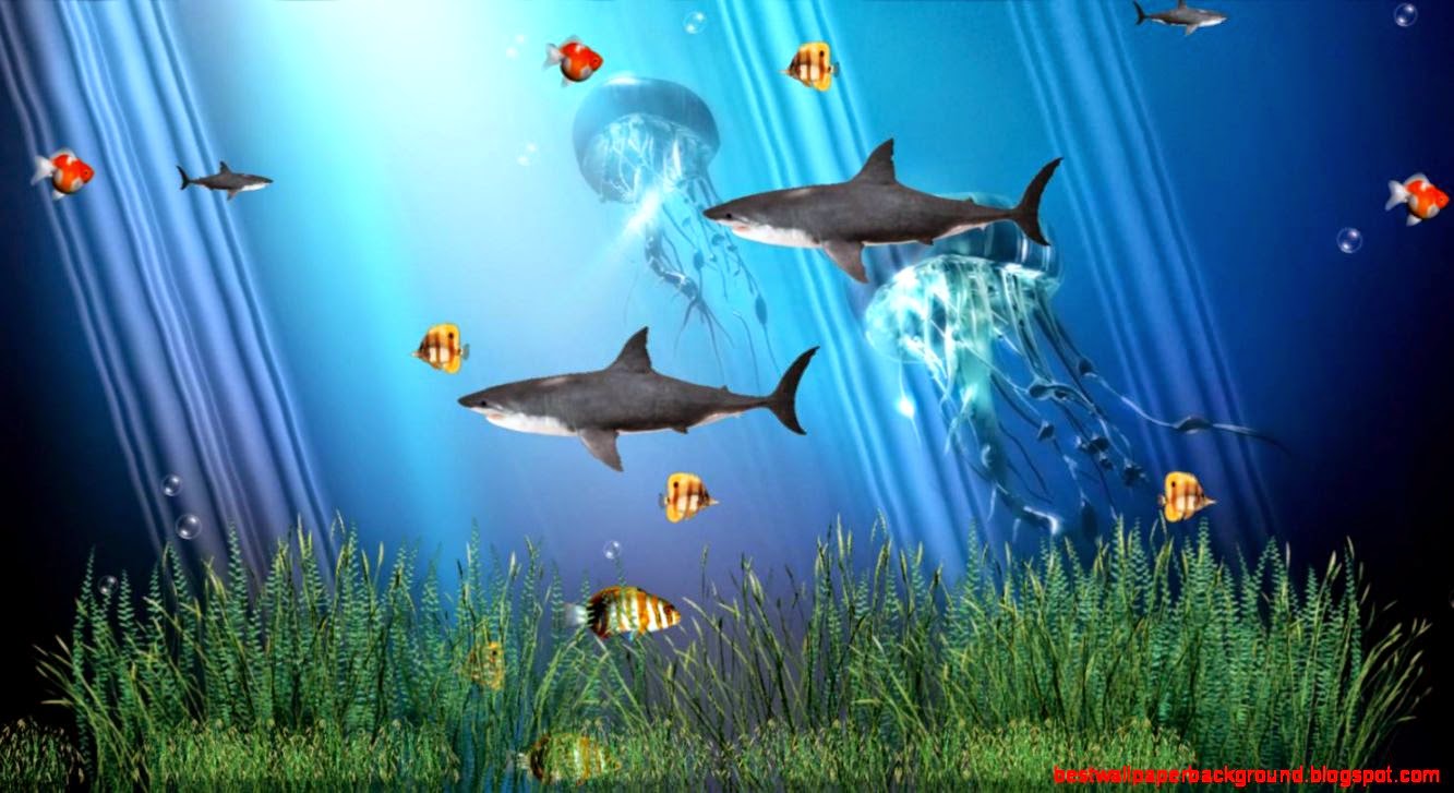 Download C Reef Aquarium Animated Wallpaper Download C Reef Aquarium Animated Wallpaper