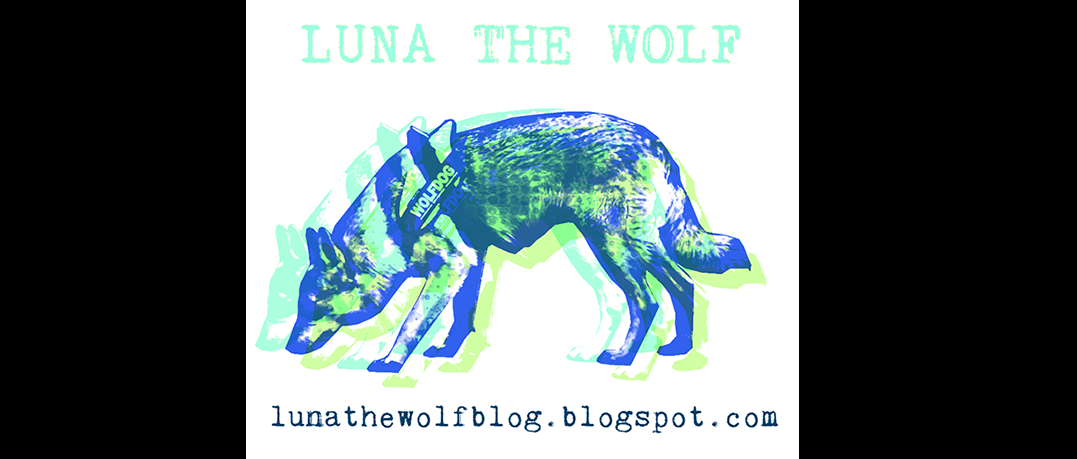 Luna the Wolf