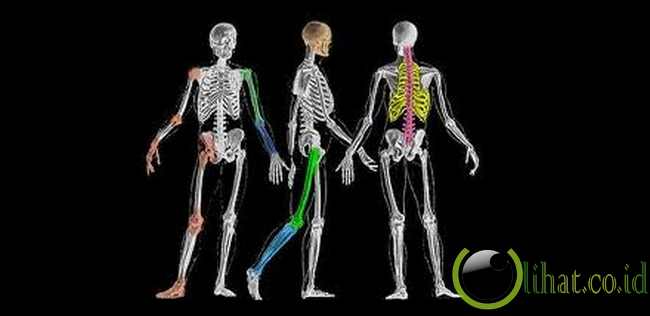 Gerakan Tubuh Gerakan Tubuh