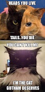 cat meme, lolcats, funny cat pictures, funny memes (funny cats two face vs batman)