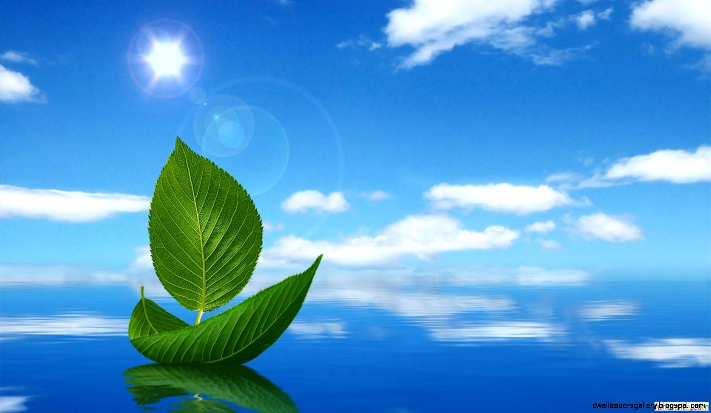 Nature Wallpaper ›› 3d Hd Nature Wallpaper Nature Wallpaper ›› 3d Hd Nature Wallpaper