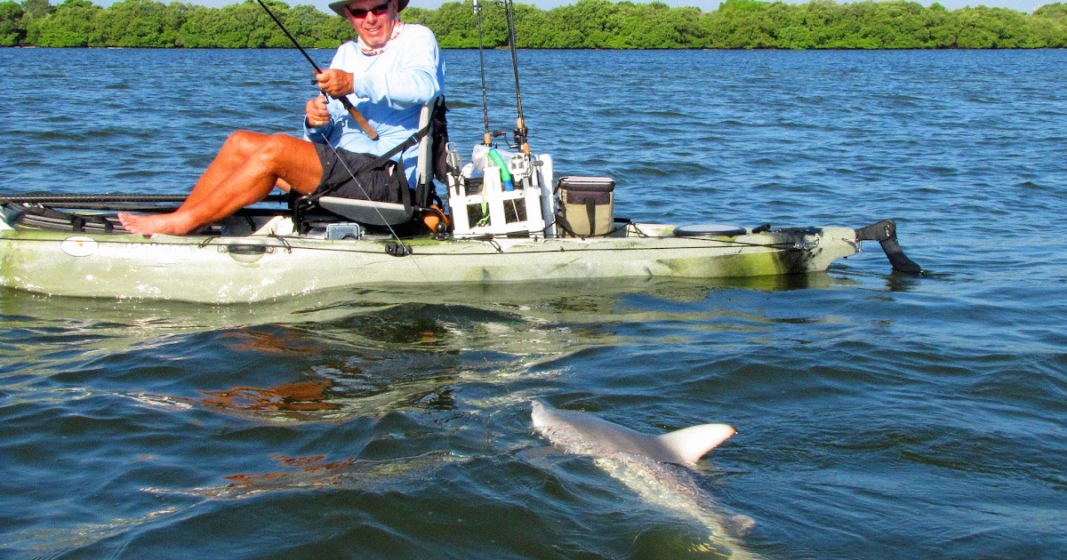 Southern Kayak Kronicles: Shark fishing has been hot on Tampa Bay