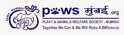 Visit PAWS-Mumbai Web Site