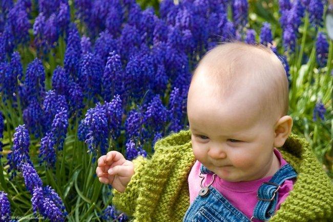 ARTE Y JARDINERÍA : Como diseñar un jardin