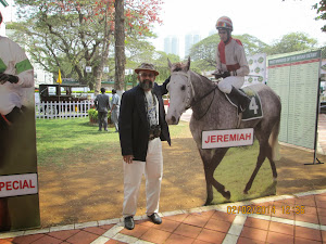 "Cardboard cut-outs of Favourites" of "McDowell Indian Derby-2014" in the "Members Enclosure".