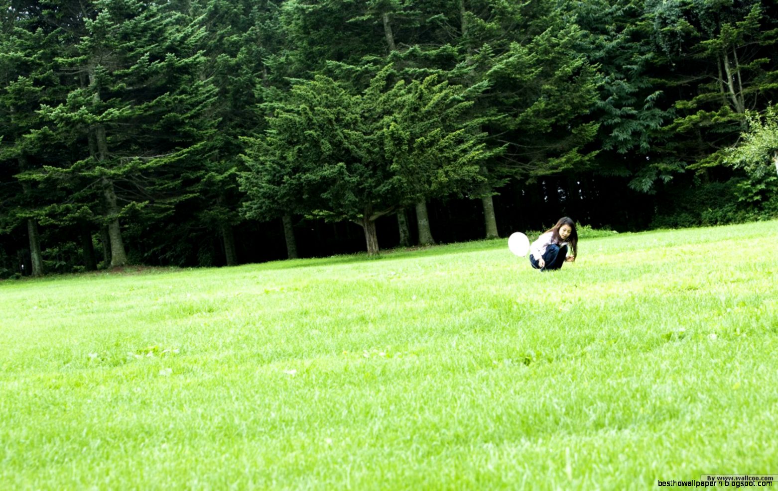 Feeling the Nature Outdoor relaxation Wallpapers 1680x1050 NO36 Feeling the Nature Outdoor relaxation Wallpapers 1680x1050 NO36