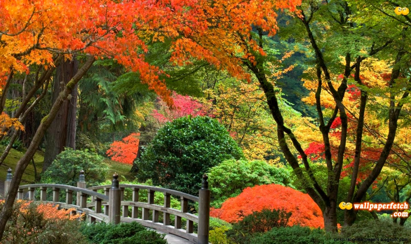 andromine77 wallpaper 1920x1080 nature andromine77 wallpaper 1920x1080 nature