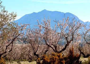 La Serrella el 10 de Març 2015