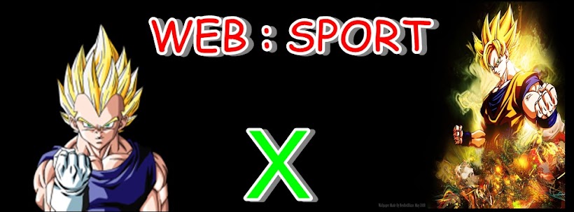 WEB.SPORT
