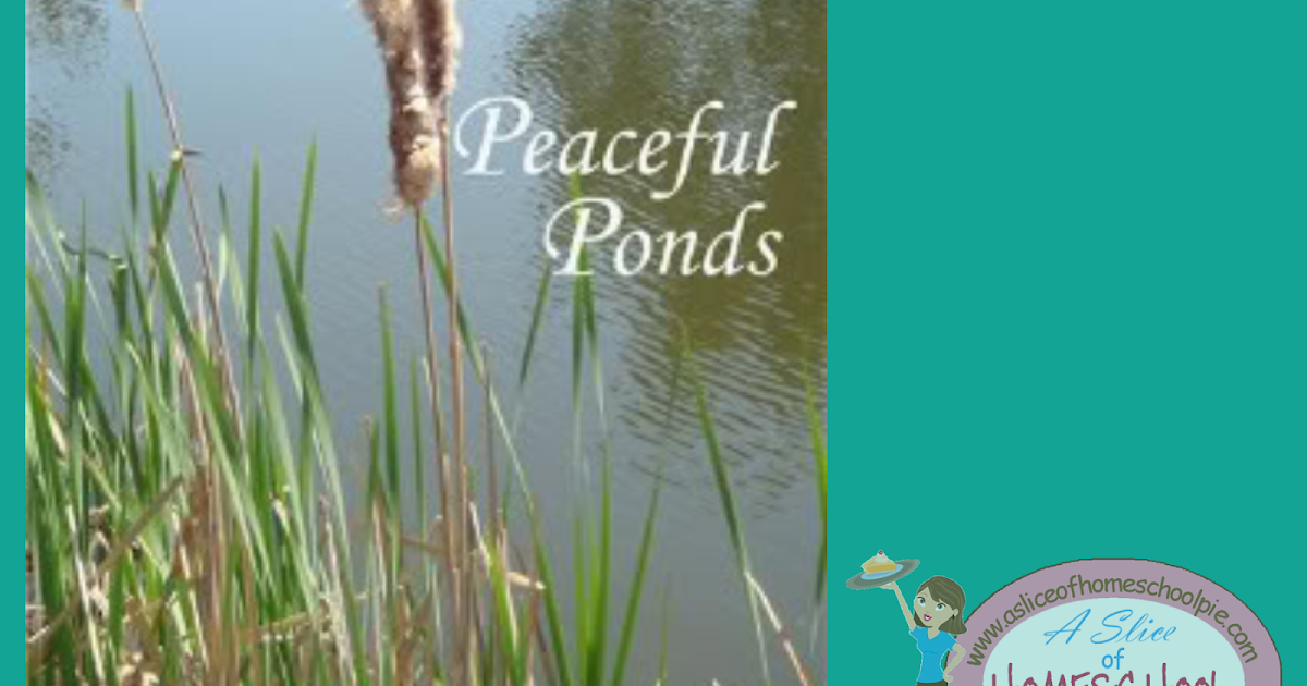 A Slice of Homeschool Pie NaturExplorers Peaceful Ponds