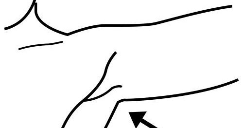 Axila para dibujar_2