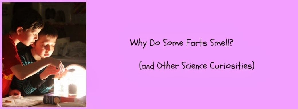 Why Do Some Farts Smell? (and Other Science Curiosities)