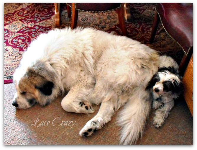 Lace Crazy Homemade Vintage Hand Towels...