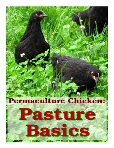 Effective farming; a text-book for American schools. Agriculture. 426 Effective Farming 212. Types of poultry. — Chickens are classified in two ways, according to the origin of the breed and according
