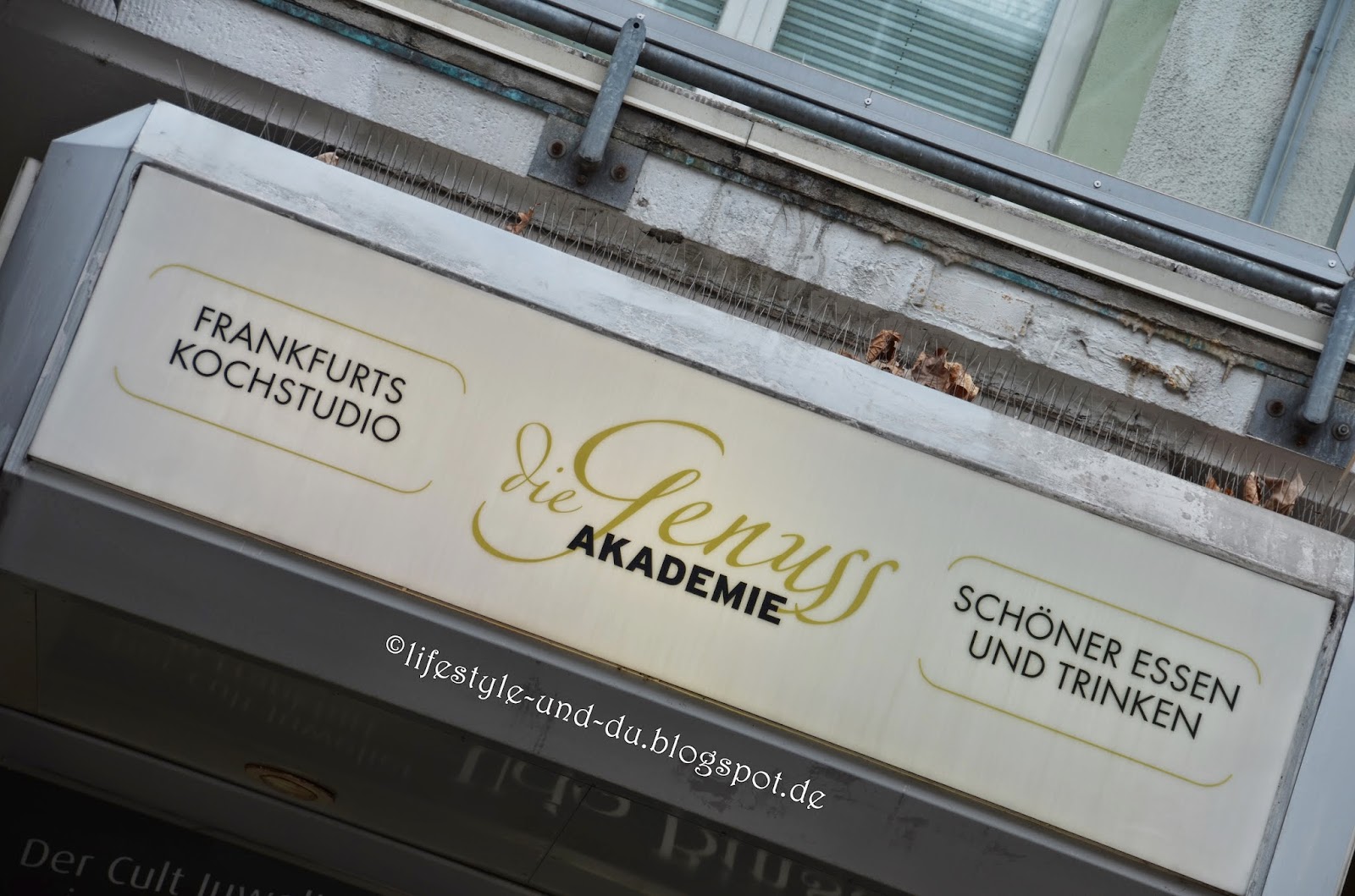 Jacqueline Paradise Radisson Blu Frankfurt Ein Wochenende Als