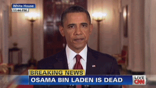 bin+laden+dead.gif